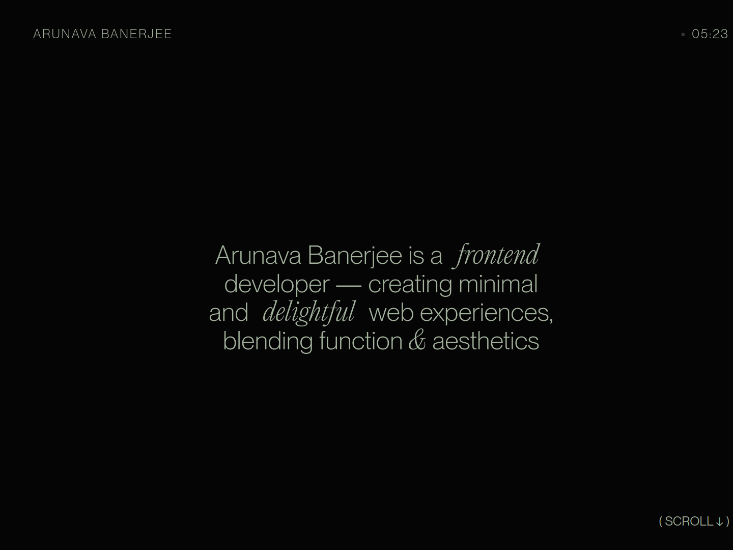 Arunava Banerjee Portfolio