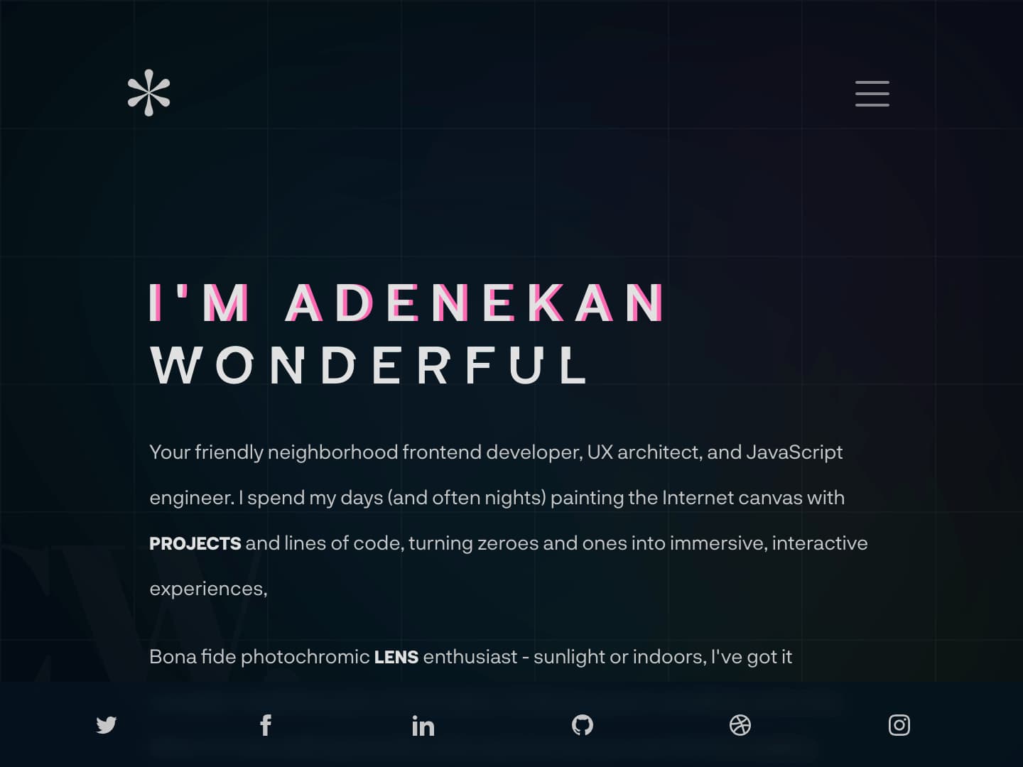 Adenekan Wonderful Portfolio